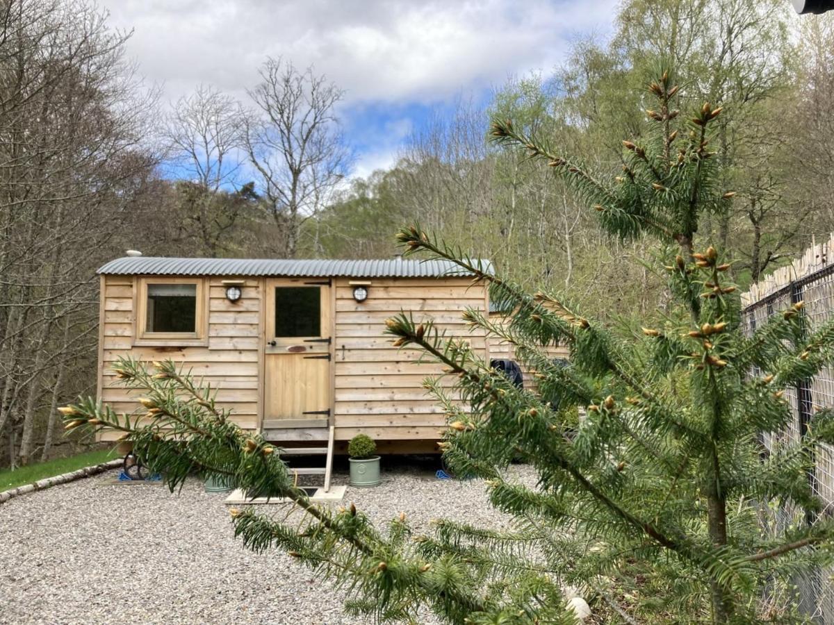Highland Bear Lodge & Luxury Bear Huts Drumnadrochit Zewnętrze zdjęcie