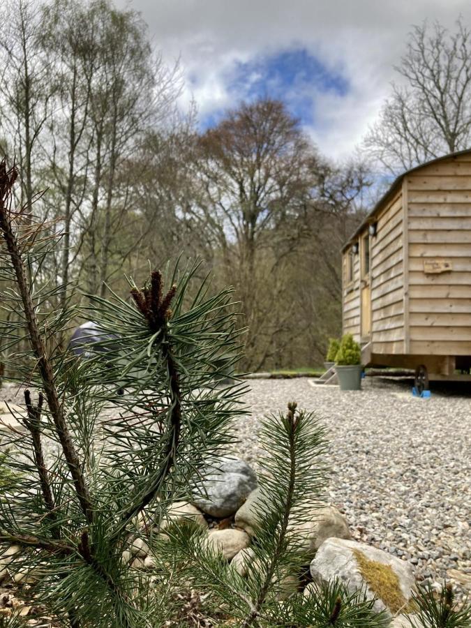 Highland Bear Lodge & Luxury Bear Huts Drumnadrochit Zewnętrze zdjęcie