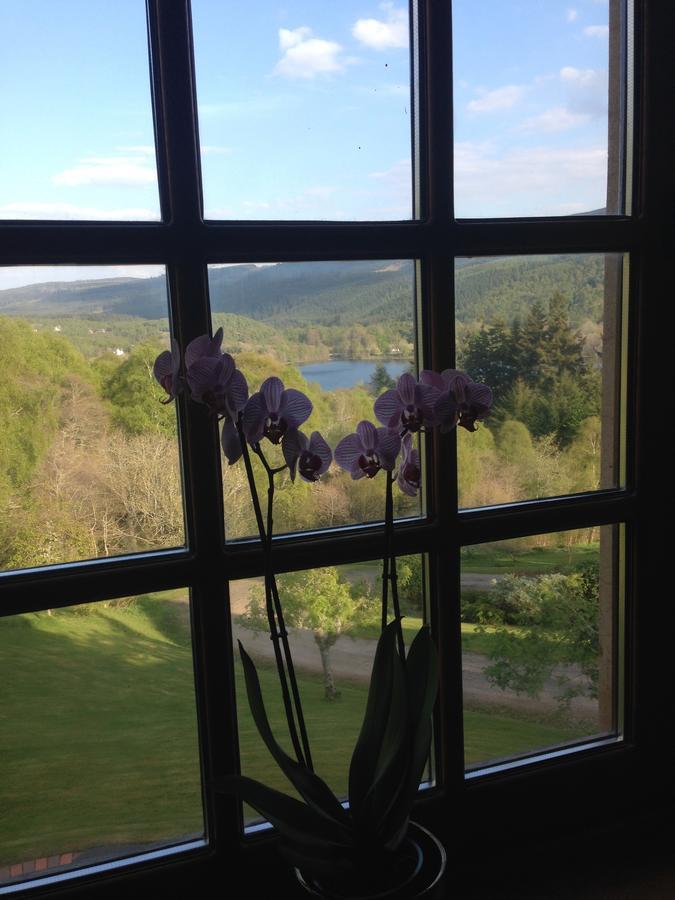 Highland Bear Lodge & Luxury Bear Huts Drumnadrochit Zewnętrze zdjęcie